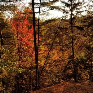 Meet your Posher, Heath